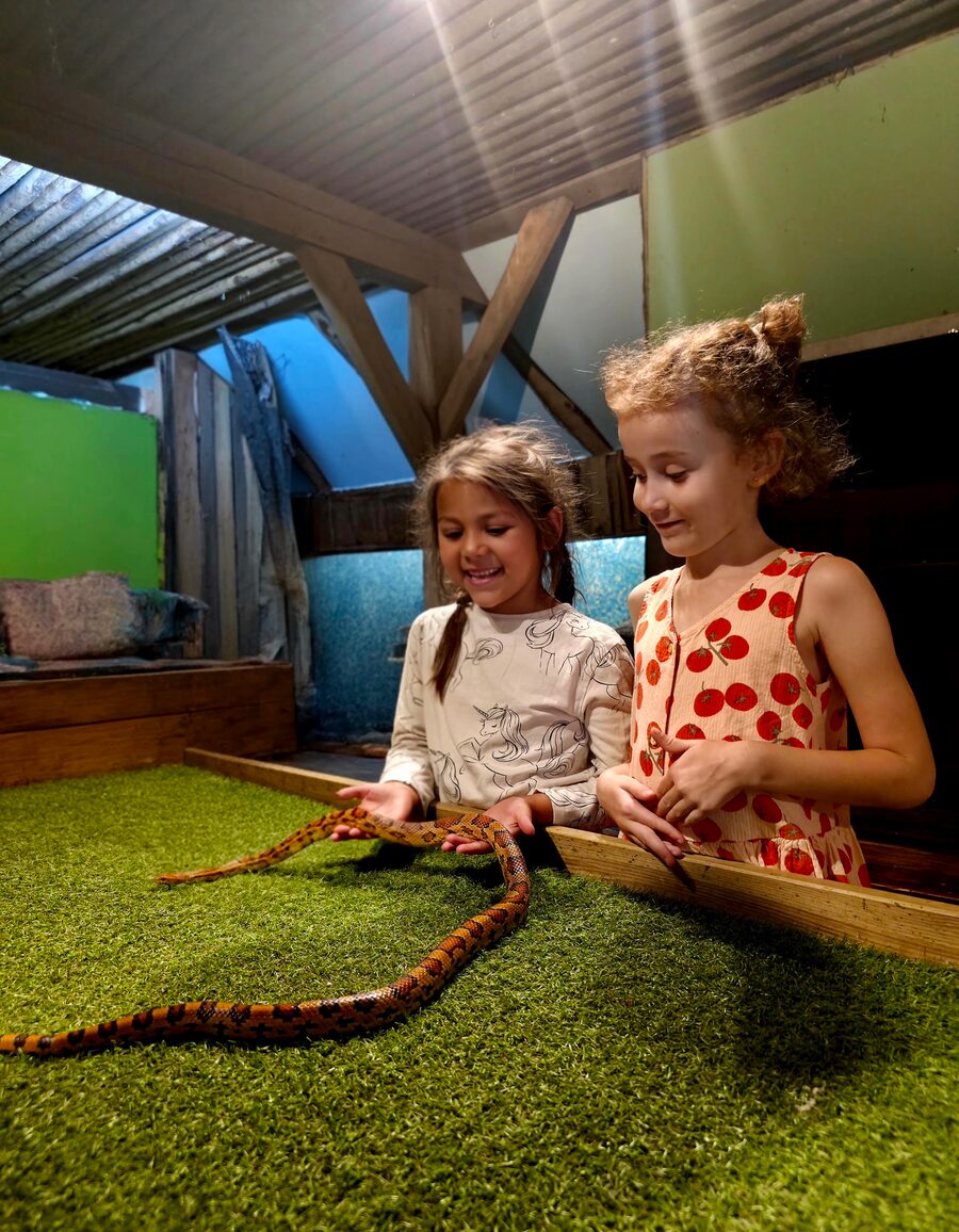 Twee meisjes houden samen een gevlekte slang vast op het kunstgras en lachen naar de camera