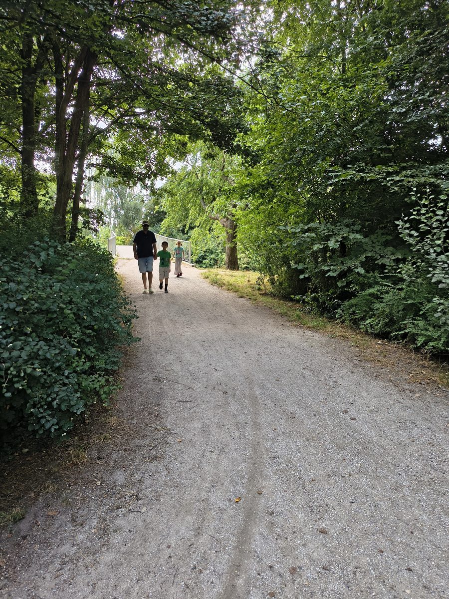 Een man en twee kinderen lopen over een schaduwrijk bospad, met achter hen een lichte open plek