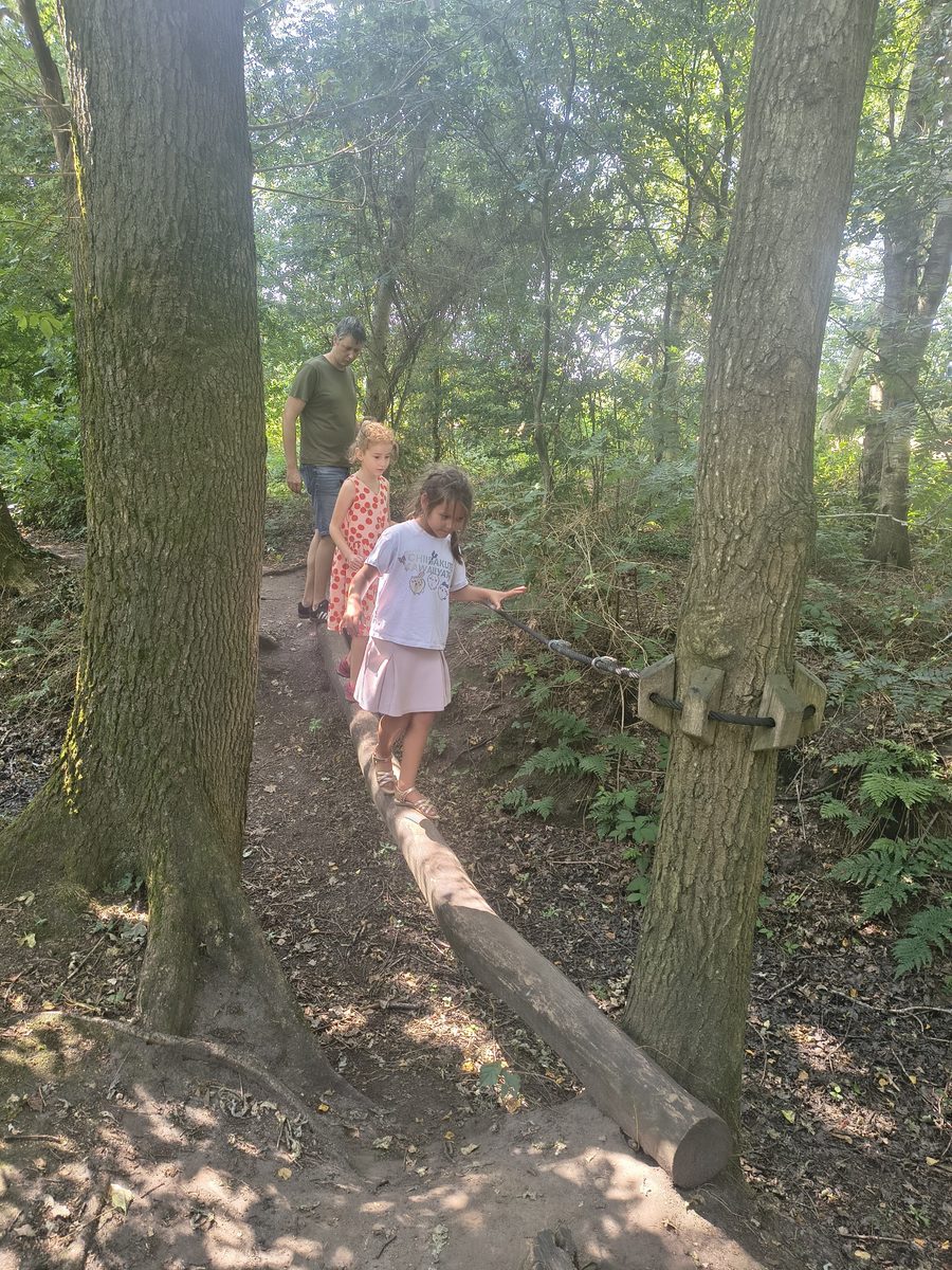 Twee meisjes lopen over een balk door het bos, een volwassene loopt erachter
